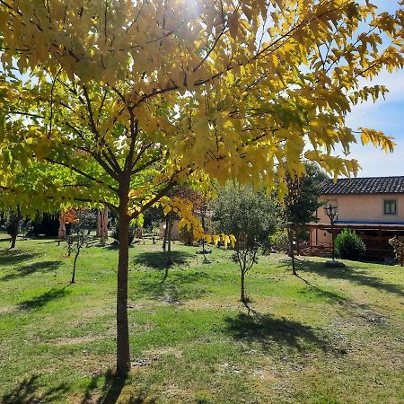Sassomatto B&B Bioagriturelax Campogialli Eksteriør bilde