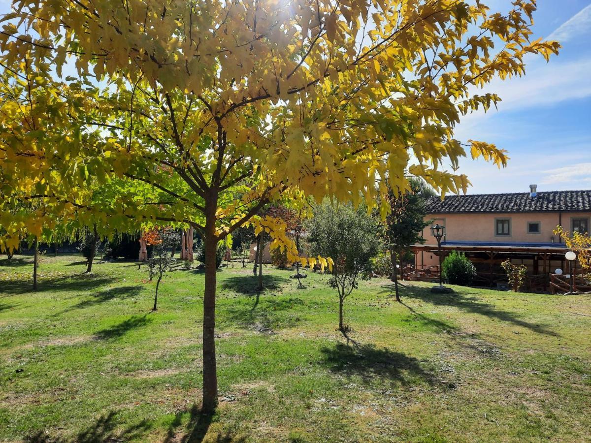 Sassomatto B&B Bioagriturelax Campogialli Eksteriør bilde
