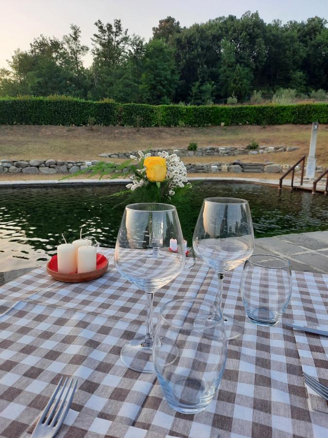Sassomatto B&B Bioagriturelax Campogialli Eksteriør bilde