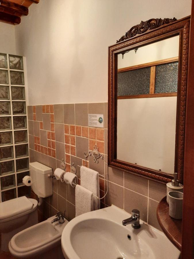 Sassomatto B&B Bioagriturelax Campogialli Eksteriør bilde