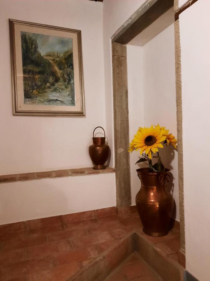 Sassomatto B&B Bioagriturelax Campogialli Eksteriør bilde